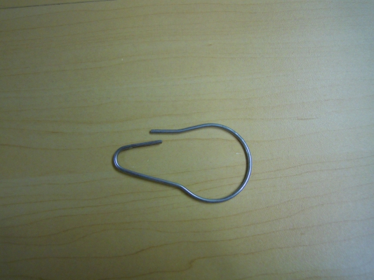 Shower Curtain Hook