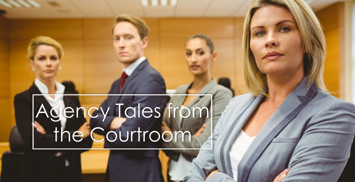 CE - Agency Tales from the Courtroom 