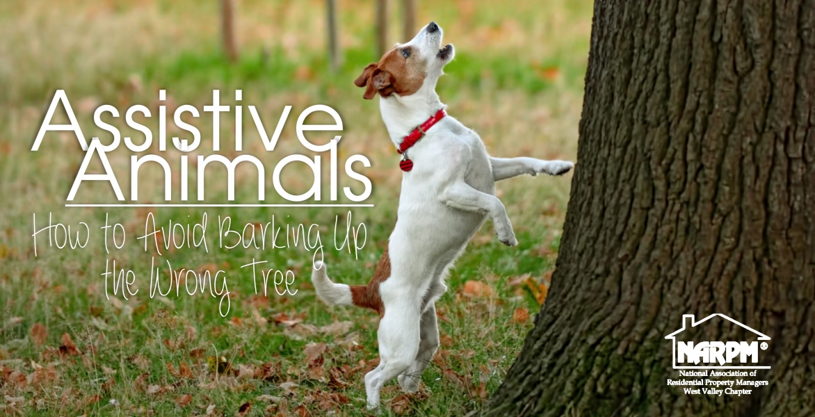 NARPM: Assistive Animals: How to Avoid Barking Up The Wrong Tree